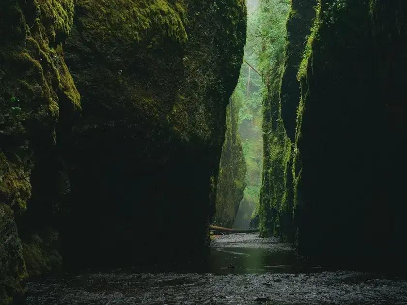 Practical steps to manifest love