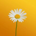 Synchronicity: The Hidden Connections That Shape Our Lives