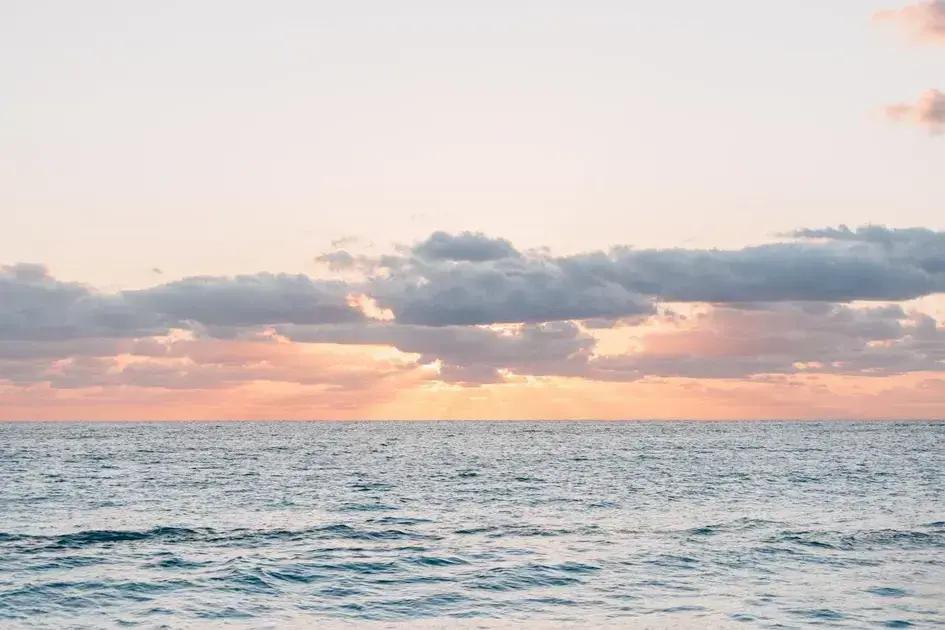Wayne Dyer's Top Principles for Mastering Manifestation
