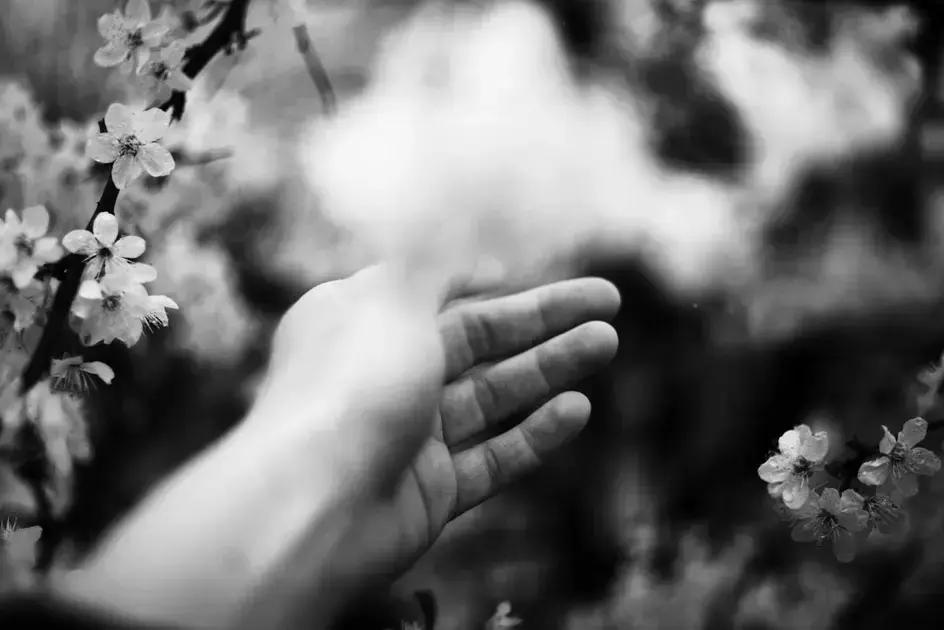 Mindset Matters: How Your Thoughts Shape Your Reality for Success