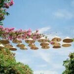 Positive mental attitude: Discover the benefits and how to cultivate it